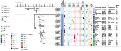 Emergence of a High-Risk <mark class="highlighted">Klebsiella michiganensis</mark> Clone Disseminating Carbapenemase Genes